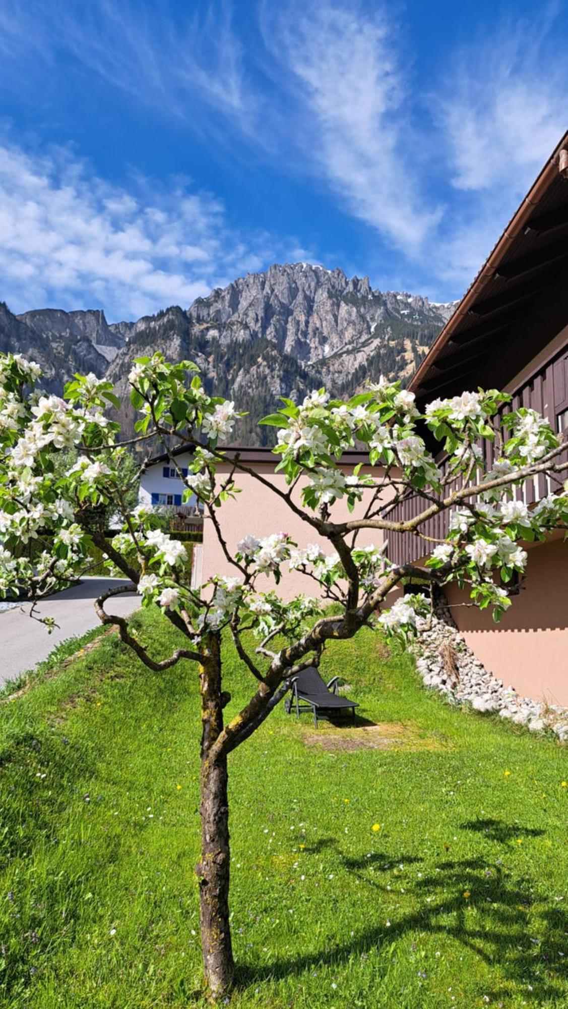 Baers Mountain Stay Ausserbraz Innerbraz ภายนอก รูปภาพ