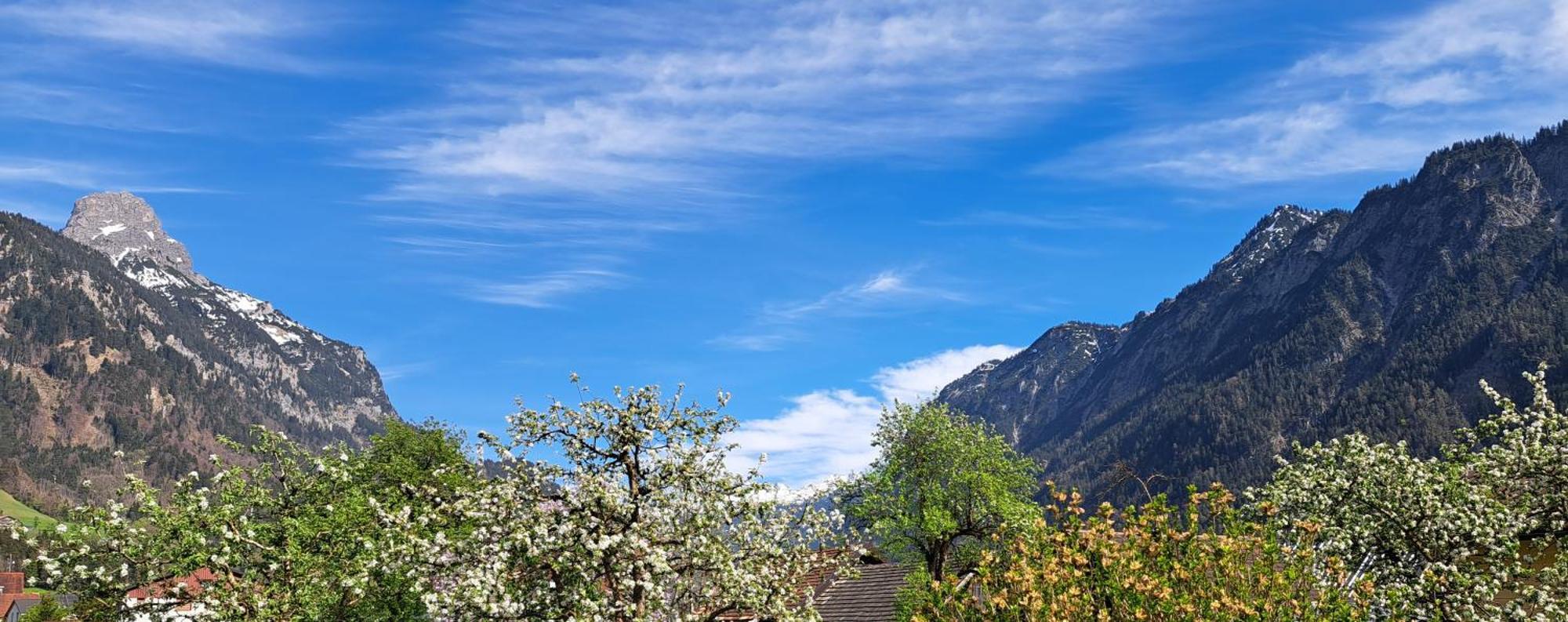 Baers Mountain Stay Ausserbraz Innerbraz ภายนอก รูปภาพ