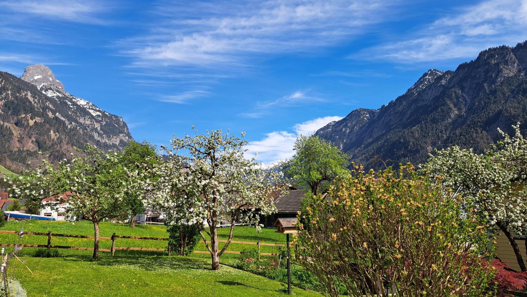 Baers Mountain Stay Ausserbraz Innerbraz ภายนอก รูปภาพ