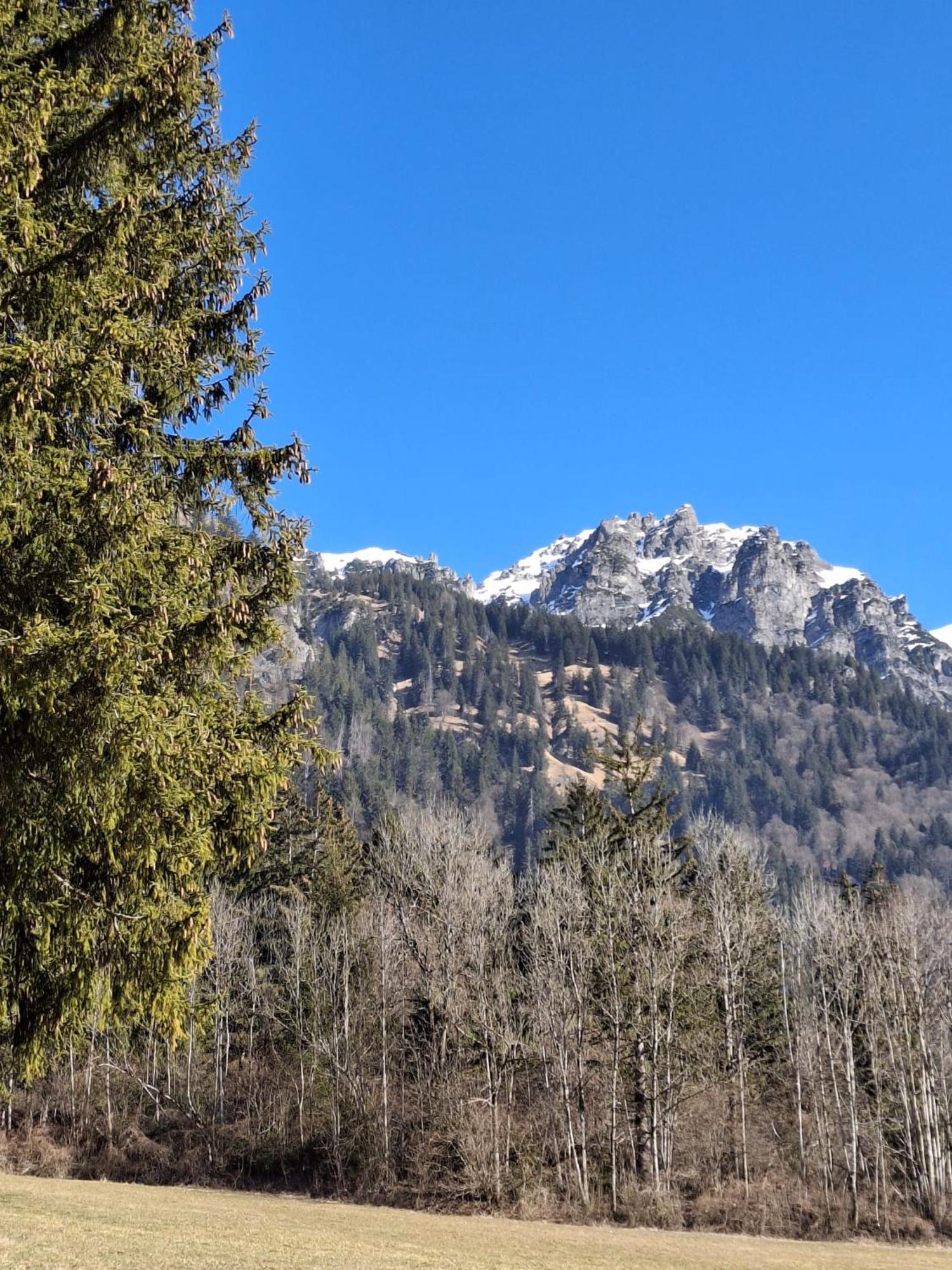 Baers Mountain Stay Ausserbraz Innerbraz ภายนอก รูปภาพ