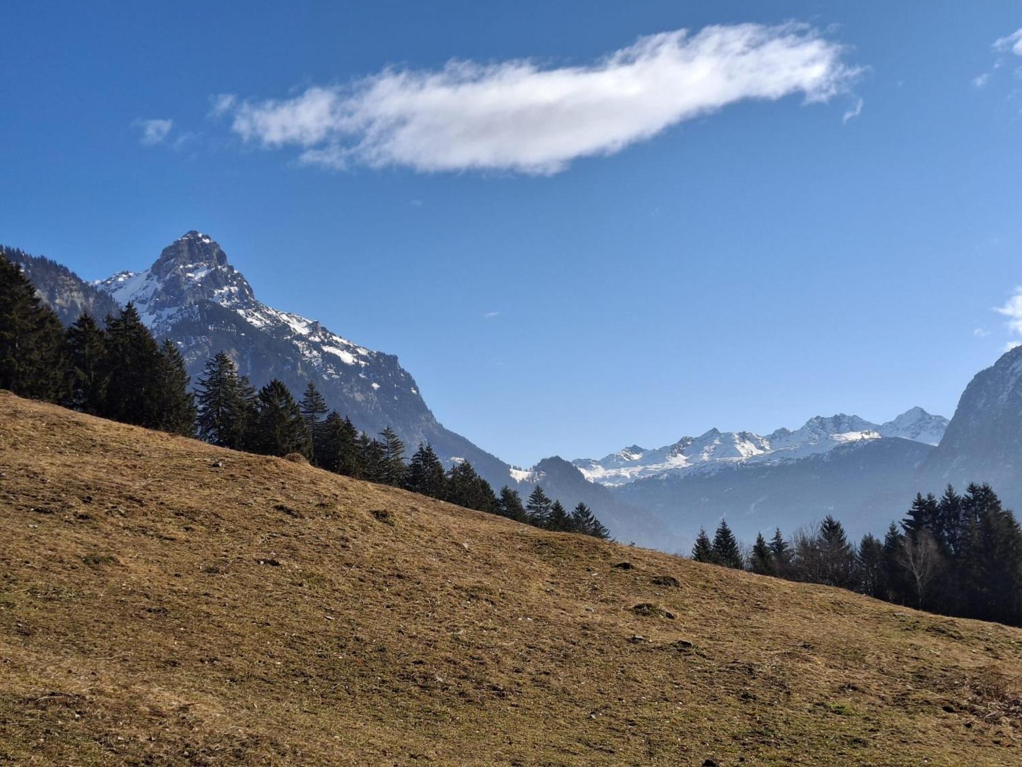 Baers Mountain Stay Ausserbraz Innerbraz ภายนอก รูปภาพ